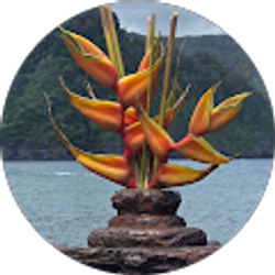 Profile photo of Lily Angela