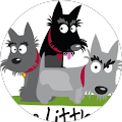 Profile photo of Lauri Tapley