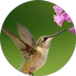 Profile photo of Katherine Lambert