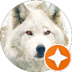 Profile photo of Nymeria19 No1