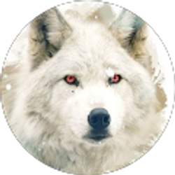 Profile photo of Nymeria19 No1