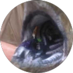 Profile photo of Samson Her