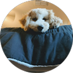 Profile photo of Monica Chairez