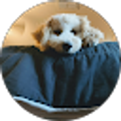 Profile photo of Monica Chairez