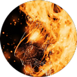 Profile photo of FIREpuma #