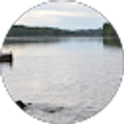 Profile photo of andrew hankermeyer