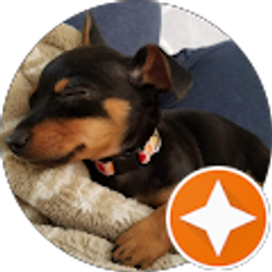 Profile photo of mike seery