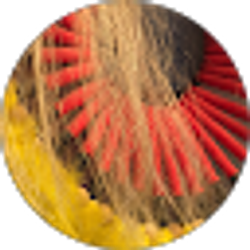 Profile photo of Kateri Plume