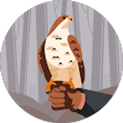 Profile photo of moise haiti