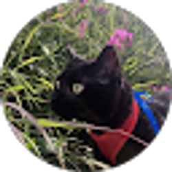Profile photo of Joy Day
