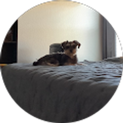 Profile photo of Kelsey Garcia