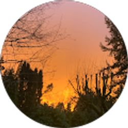 Profile photo of Ofelia Reyes