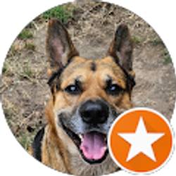 Profile photo of Joel