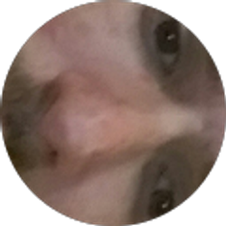 Profile photo of Donny smithers