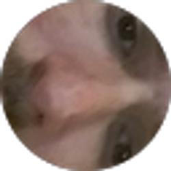 Profile photo of Donny smithers