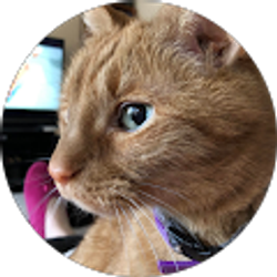 Profile photo of David Musal