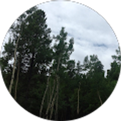 Profile photo of Jen Hoogendoorn