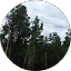 Profile photo of Jen Hoogendoorn