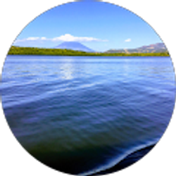 Profile photo of José Mejía