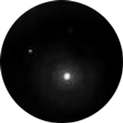 Profile photo of Malia Merriman