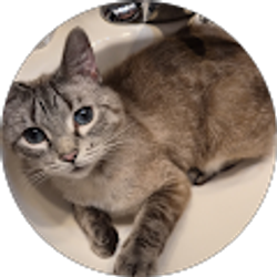 Profile photo of Ava Giacomantonio