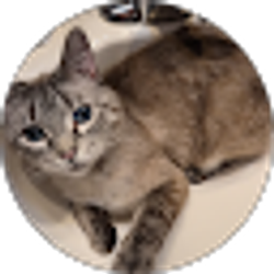 Profile photo of Ava Giacomantonio