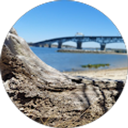 Profile photo of Bettie Edwards