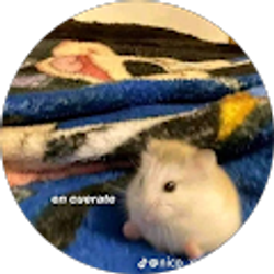 Profile photo of Rich Gaming