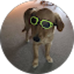 Profile photo of Randy Harbin