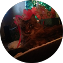 Profile photo of carson oliver