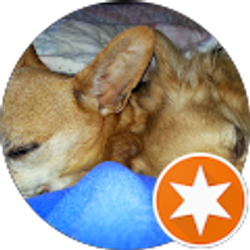 Profile photo of Georgia Miller