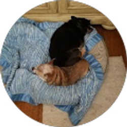 Profile photo of Yvonne Powell