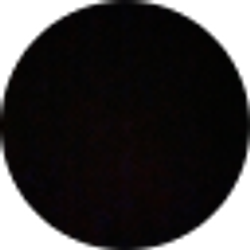 Profile photo of Damien