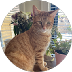 Profile photo of Maria G