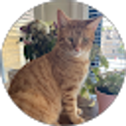 Profile photo of Maria G