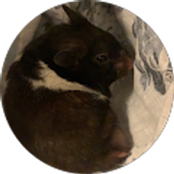 Profile photo of Anthony Yu