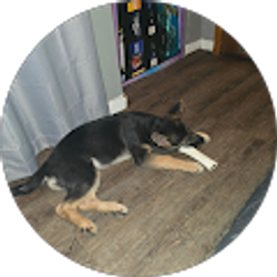 Profile photo of Paul Beam