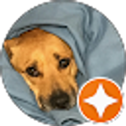 Profile photo of Catalina