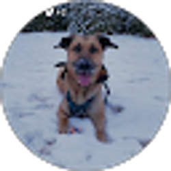 Profile photo of Tye Taylor