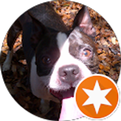 Profile photo of Heidi Fahnestock