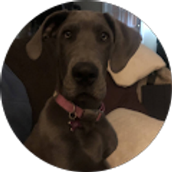 Profile photo of Angie Goudy