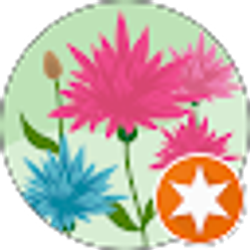 Profile photo of Kimberly Kroetz