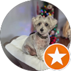 Profile photo of Jennifer Muniz