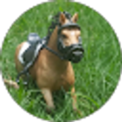 Profile photo of Schleich Piñata