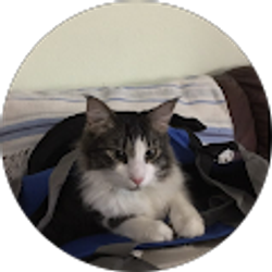 Profile photo of Lynn M