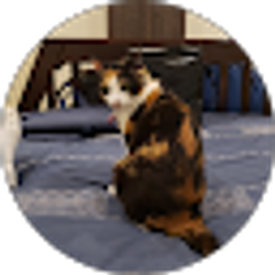 Profile photo of Patricia Matthews
