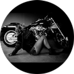 Profile photo of Mike Collins