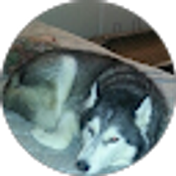 Profile photo of Cindy F