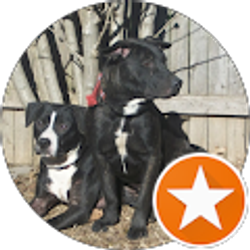 Profile photo of Brenda Young