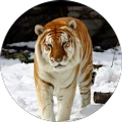 Profile photo of rachael marcusen